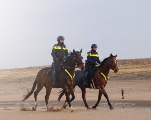 NPB Corona Logboek - 12 april