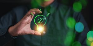 Duurzaamheidsbudget: wat zijn jouw favoriete opties?