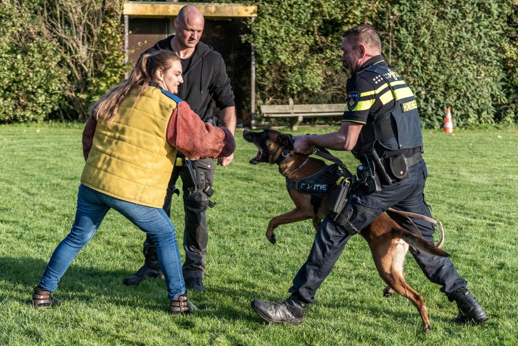 NPB: hondengeleiders kind van de rekening