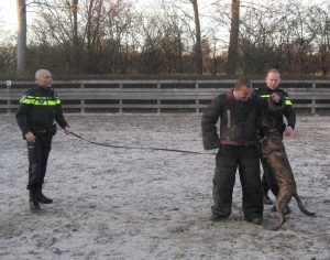 Vervoersfaciliteiten hondengeleiders