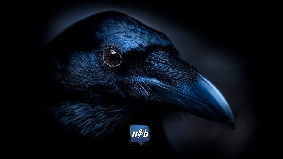 RAAF-aanvraag? De NPB helpt!